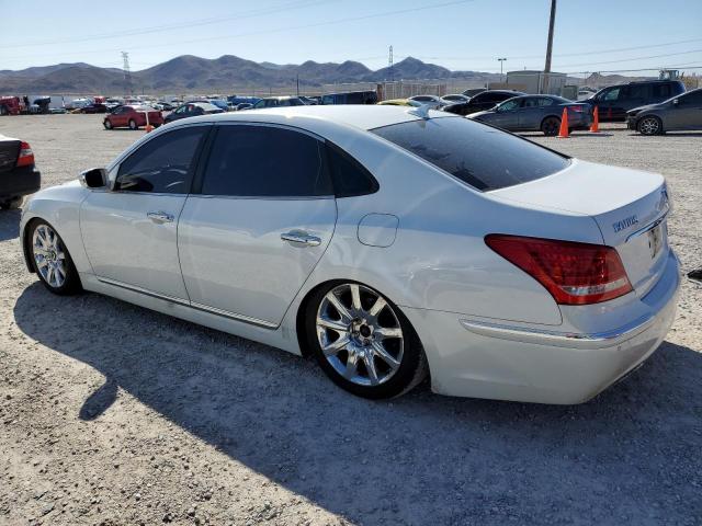 HYUNDAI EQUUS 2012 1