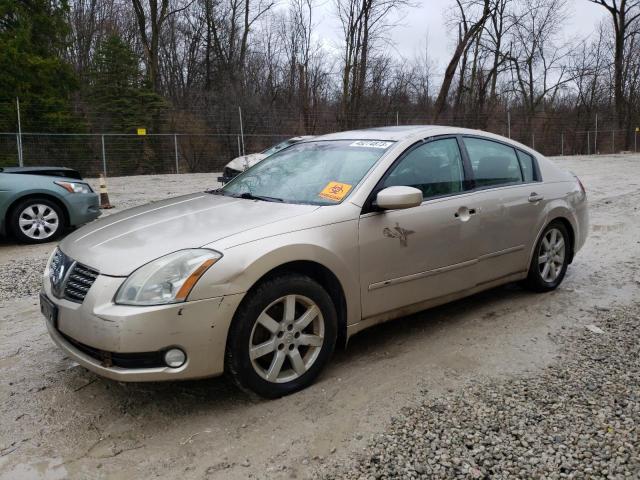 2006 Nissan Maxima SE