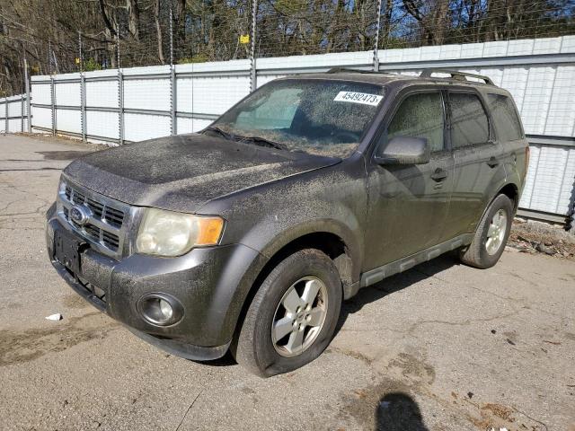 2010 Ford Escape XLT