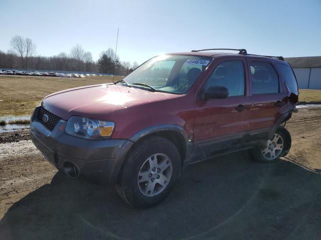 2005 Ford Escape XLT