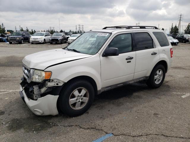 2009 Ford Escape XLT