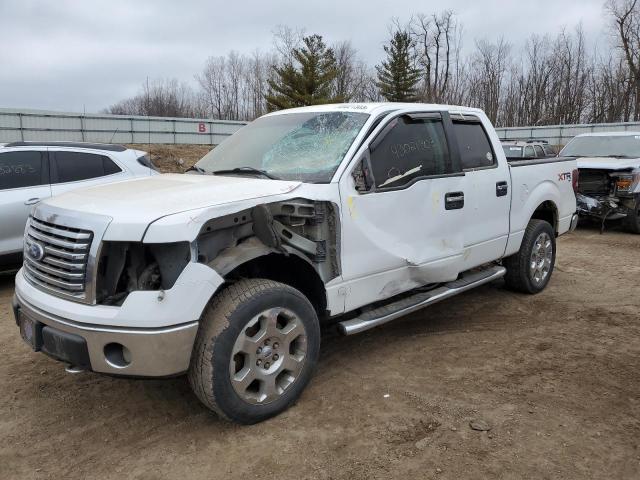 Salvage cars for sale from Copart Davison, MI: 2010 Ford F150 Supercrew