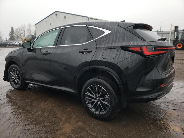 2023 LEXUS NX 250 - 2T2ADCEZXPC003386