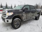 2017 TOYOTA TUNDRA CRE - 5TFDW5F13HX670397