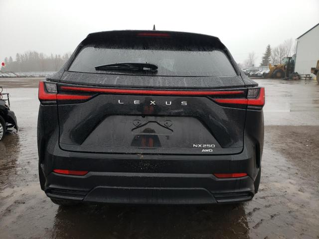 2023 LEXUS NX 250 - 2T2ADCEZXPC003386