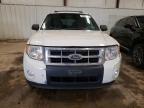 Lot #3023442259 2009 FORD ESCAPE