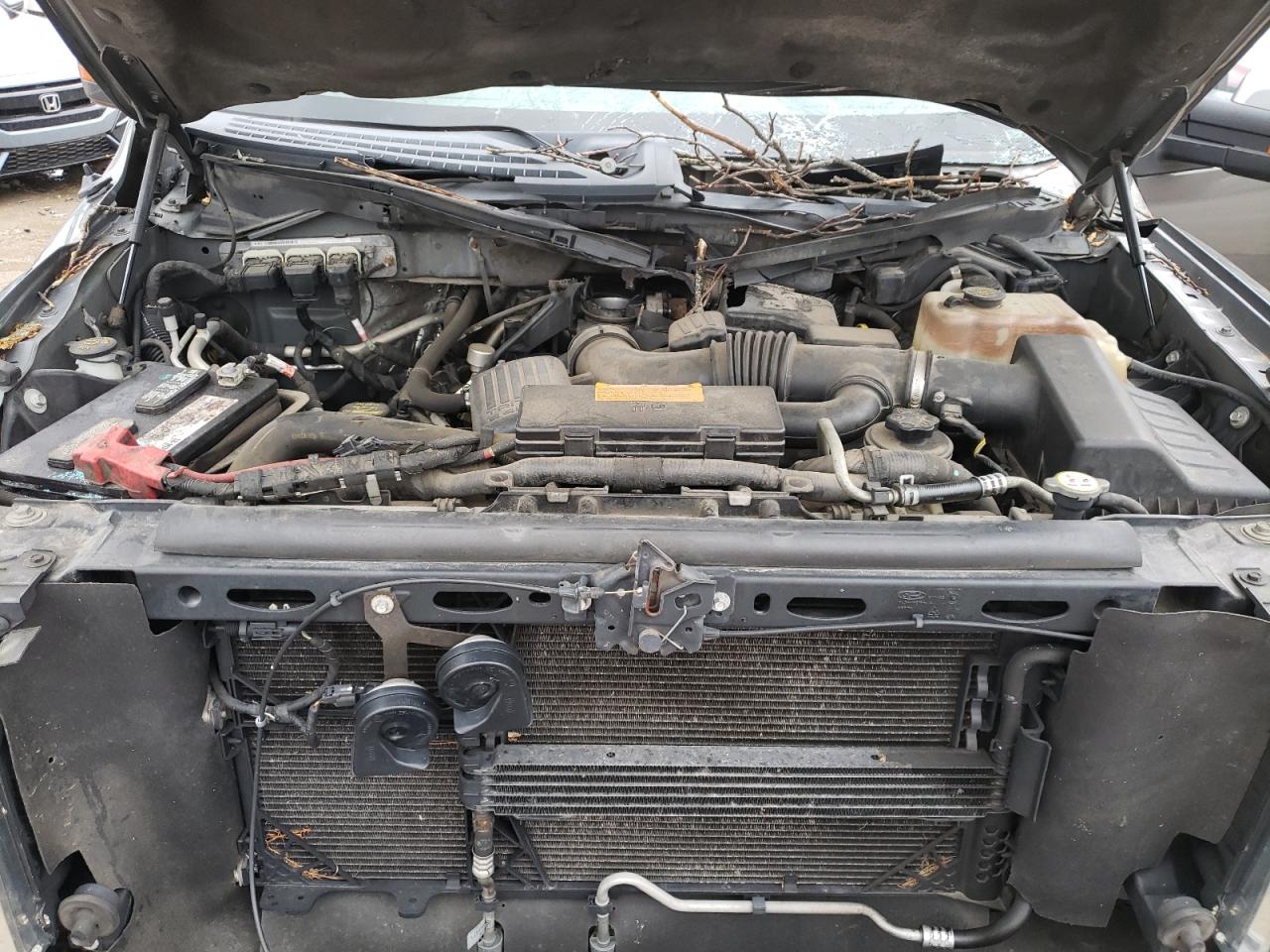 1ftfw1evxafa55346 1FTFW1EVXAFA55346 2010 Ford F150 Supercrew