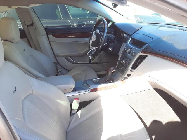 1G6DP5E35D0132211 Cadillac Cts Premium Collection