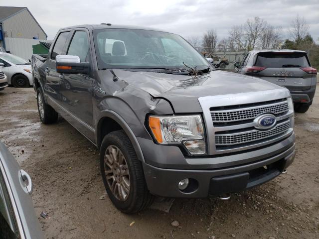 2010 Ford F150 Supercrew VIN: 1FTFW1EVXAFA55346 Lot: 45889013