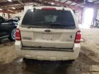 Lot #3023442259 2009 FORD ESCAPE