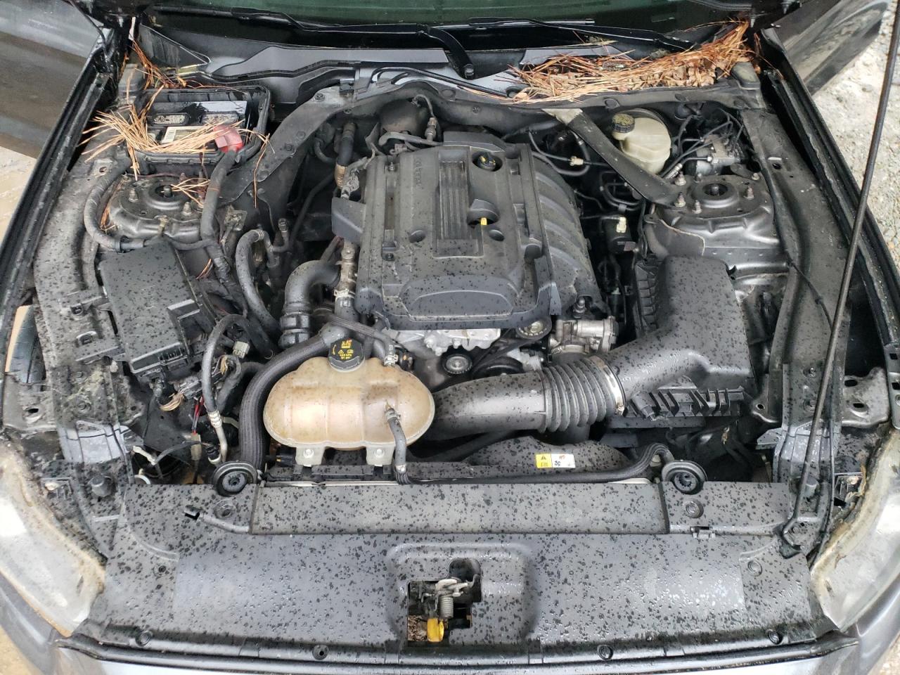 1FA6P8TH8G5274264 FORD ALL Models 2016