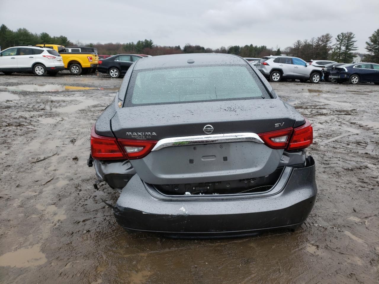 1N4AA6AP3GC443502 NISSAN MAXIMA 2016