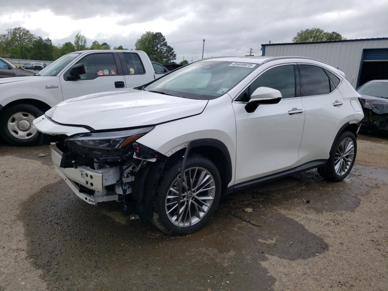 2T2GGCEZXNC003323 LEXUS NX 350 2022