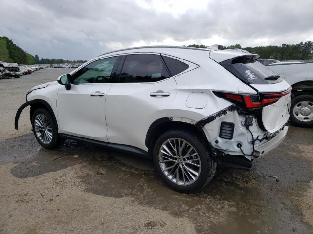 2022 LEXUS NX 350 2T2GGCEZXNC003323