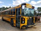 BLUE BIRD SCHOOL BUS