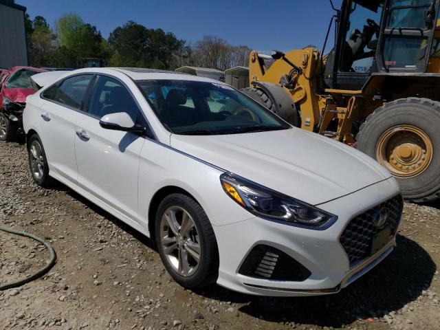 2019 HYUNDAI SONATA LIM - 5NPE34AF8KH765213