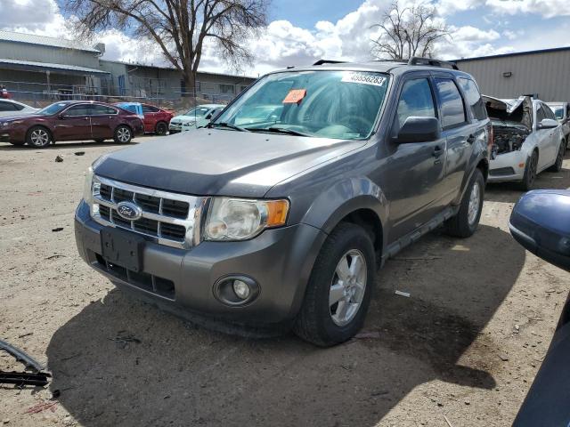 2010 Ford Escape XLT