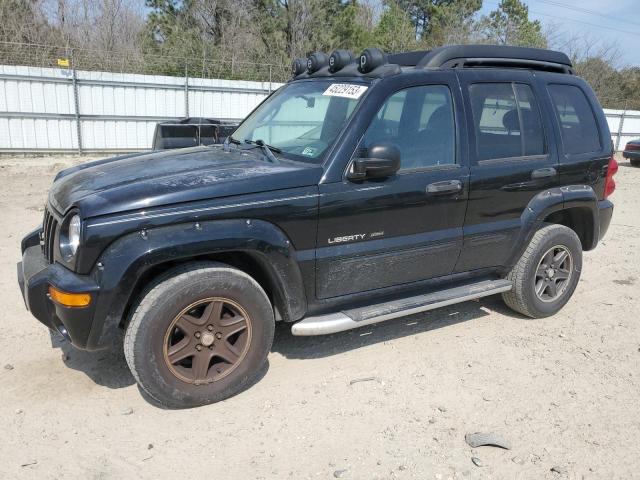 2003 Jeep Liberty Renegade