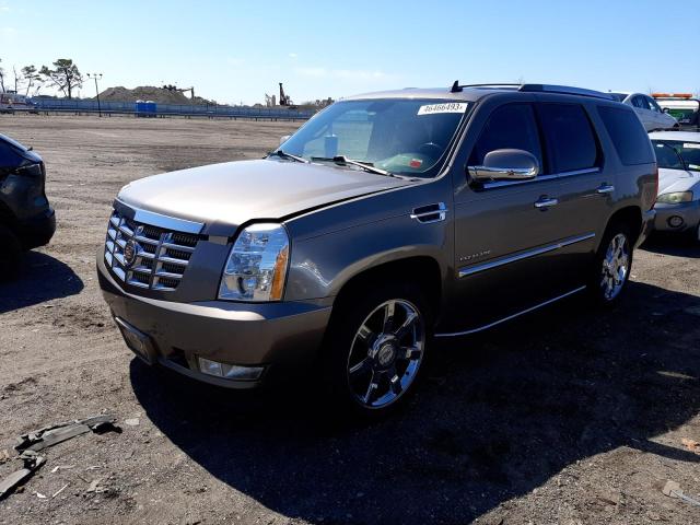 2011 Cadillac Escalade Luxury