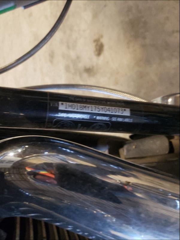2005 HARLEY-DAVIDSON FLSTF 1HD1BMY175Y041073