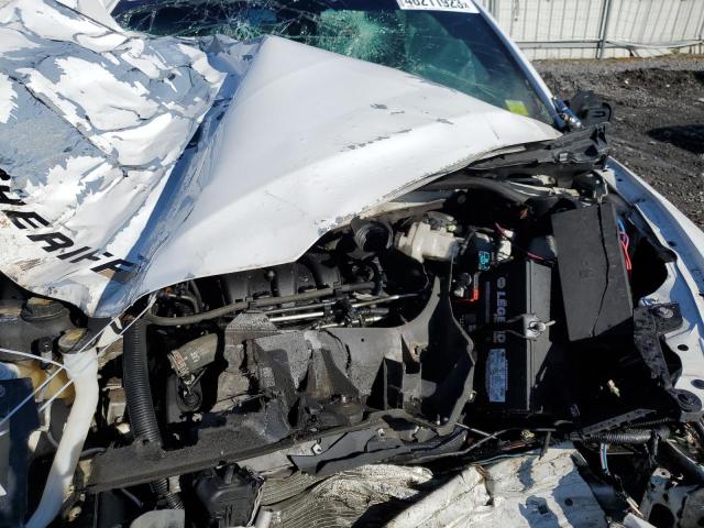 2019 FORD TAURUS POL - 1FAHP2MK5KG101539