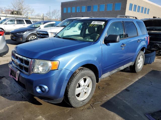 Ford Escape Blue 2010