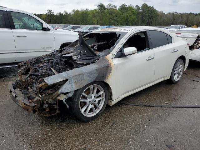 Salvage cars for sale from Copart Harleyville, SC: 2010 Nissan Maxima S