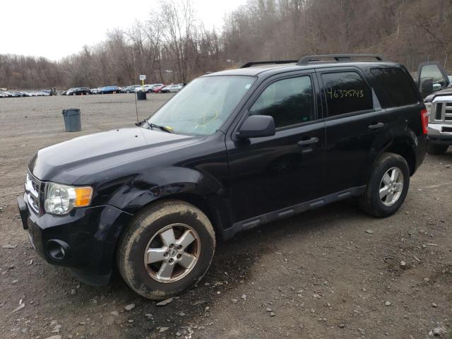 2009 Ford Escape XLT