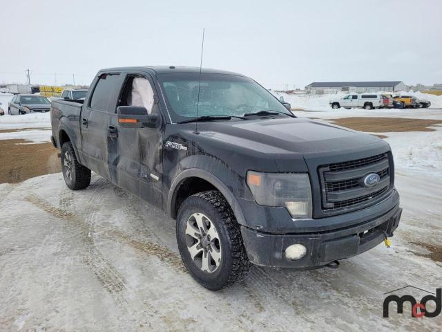 Salvage cars for sale from Copart Rocky View County, AB: 2014 Ford F150 Supercrew