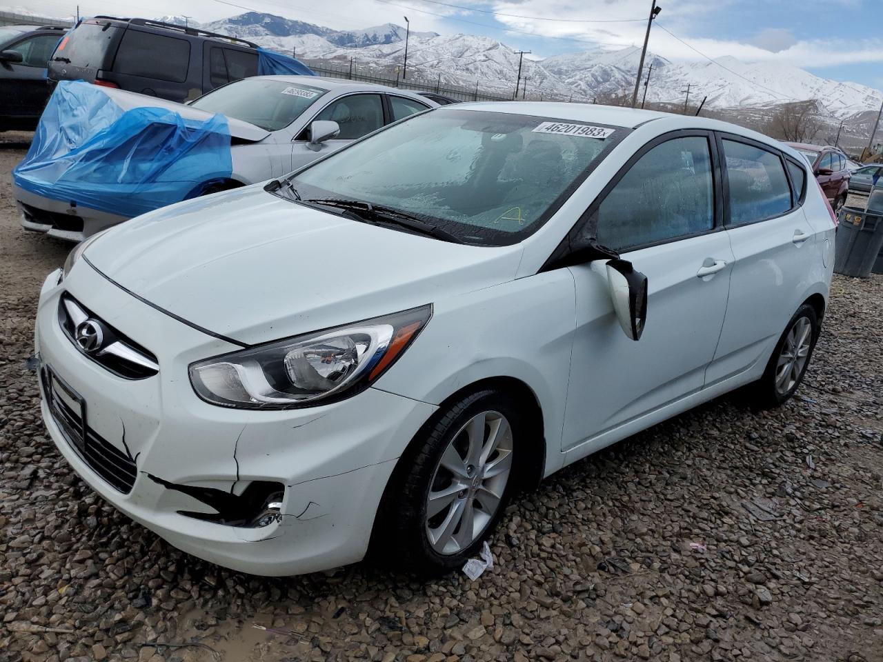 KMHCU5AE4DU073956 2013 Hyundai Accent Gls