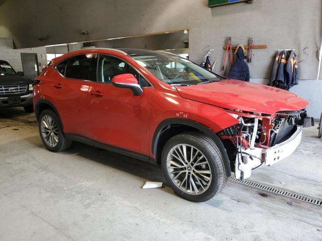 2022 LEXUS NX 350 - 2T2HGCEZ6NC009303