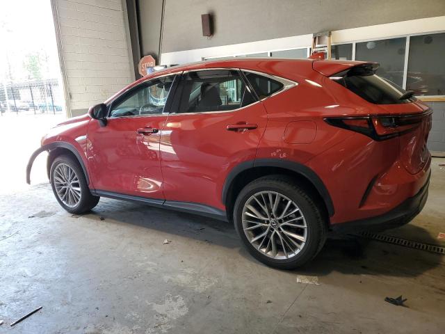 2022 LEXUS NX 350 - 2T2HGCEZ6NC009303