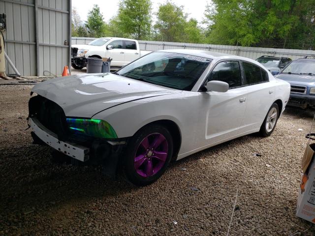 VIN 2C3CDXBG7DH660501 2013 DODGE CHARGER no.1