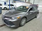 2019 TOYOTA CAMRY LE - 4T1B31HK1KU515365