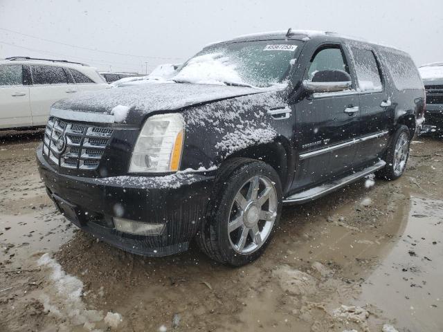 2007 Cadillac Escalade ESV 