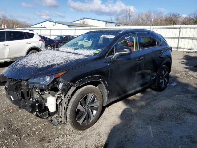 2021 Lexus NX 300h Base