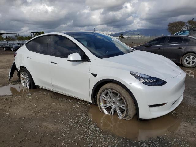 5YJYGDEE0MF213001 Tesla Model Y