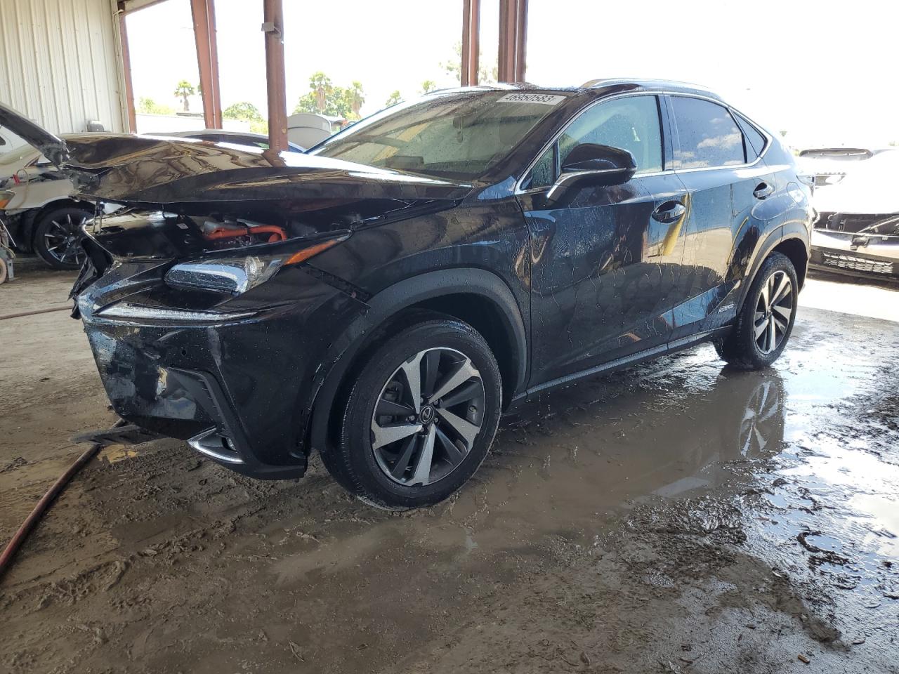2020 Lexus Nx 300H