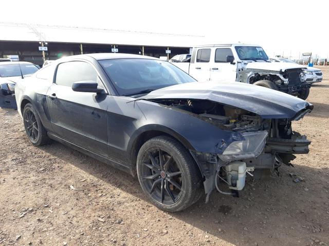 1ZVBP8AMXE5311673 | 2014 FORD MUSTANG