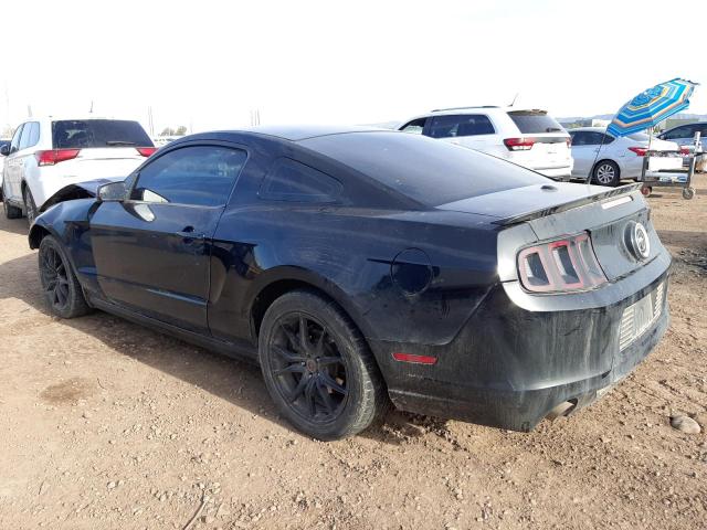 1ZVBP8AMXE5311673 | 2014 FORD MUSTANG