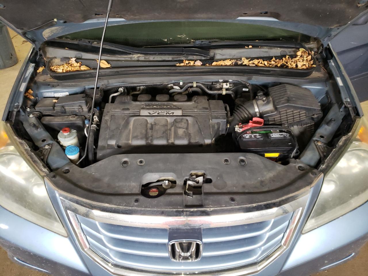 5FNRL38738B003313 2008 Honda Odyssey Exl