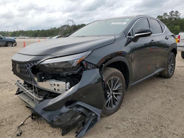 2023 LEXUS NX 250 - 2T2GDCAZ5PC003845