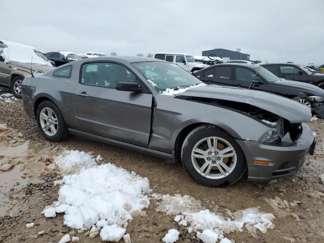 1ZVBP8AM4E5250031 Ford MUSTANG