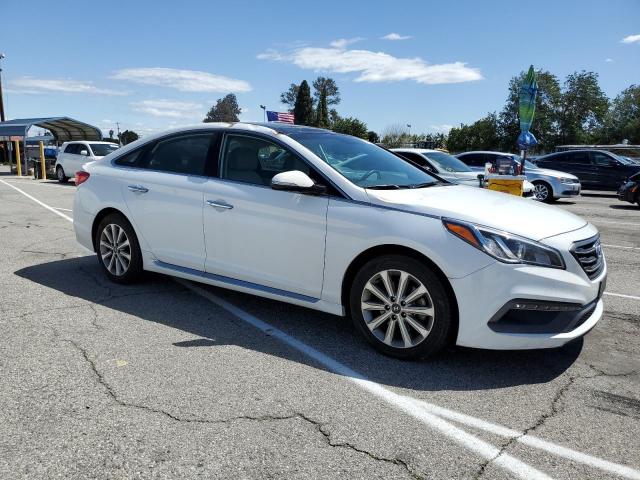 2016 HYUNDAI SONATA SPO - 5NPE34AF7GH266605