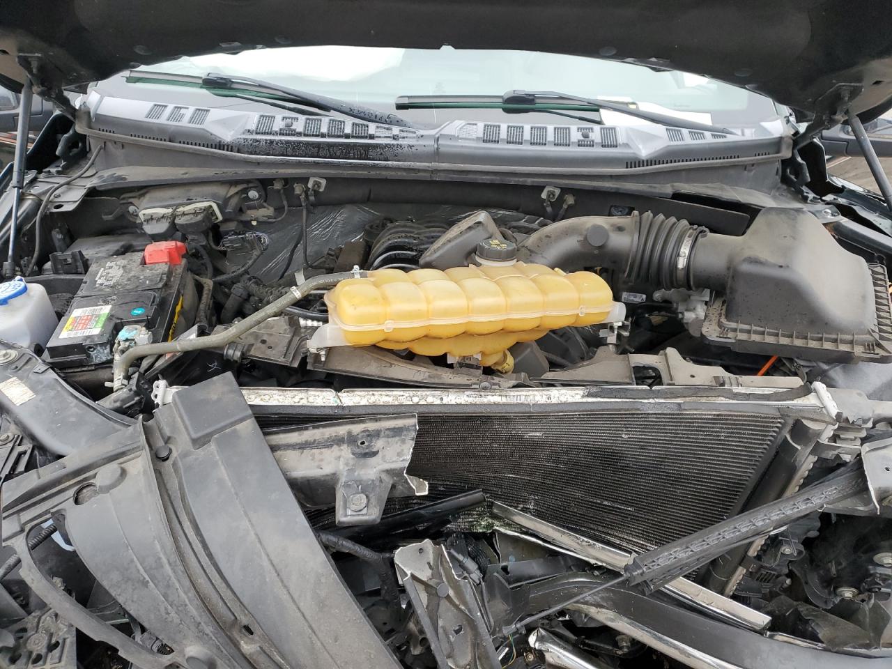 1FTEW1CF3GFC05443 FORD F-150 2016