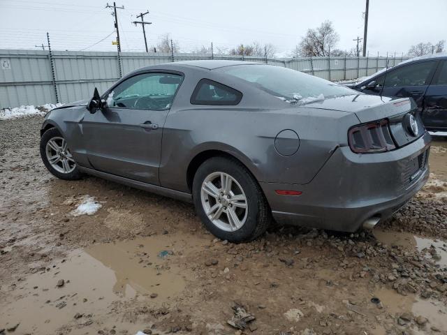1ZVBP8AM4E5250031 Ford MUSTANG