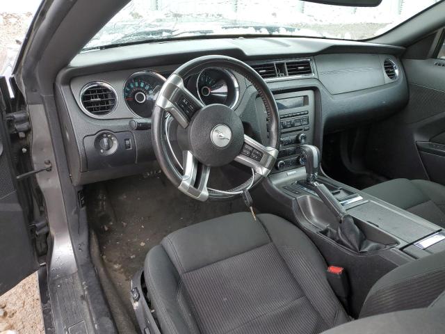 1ZVBP8AM4E5250031 Ford MUSTANG