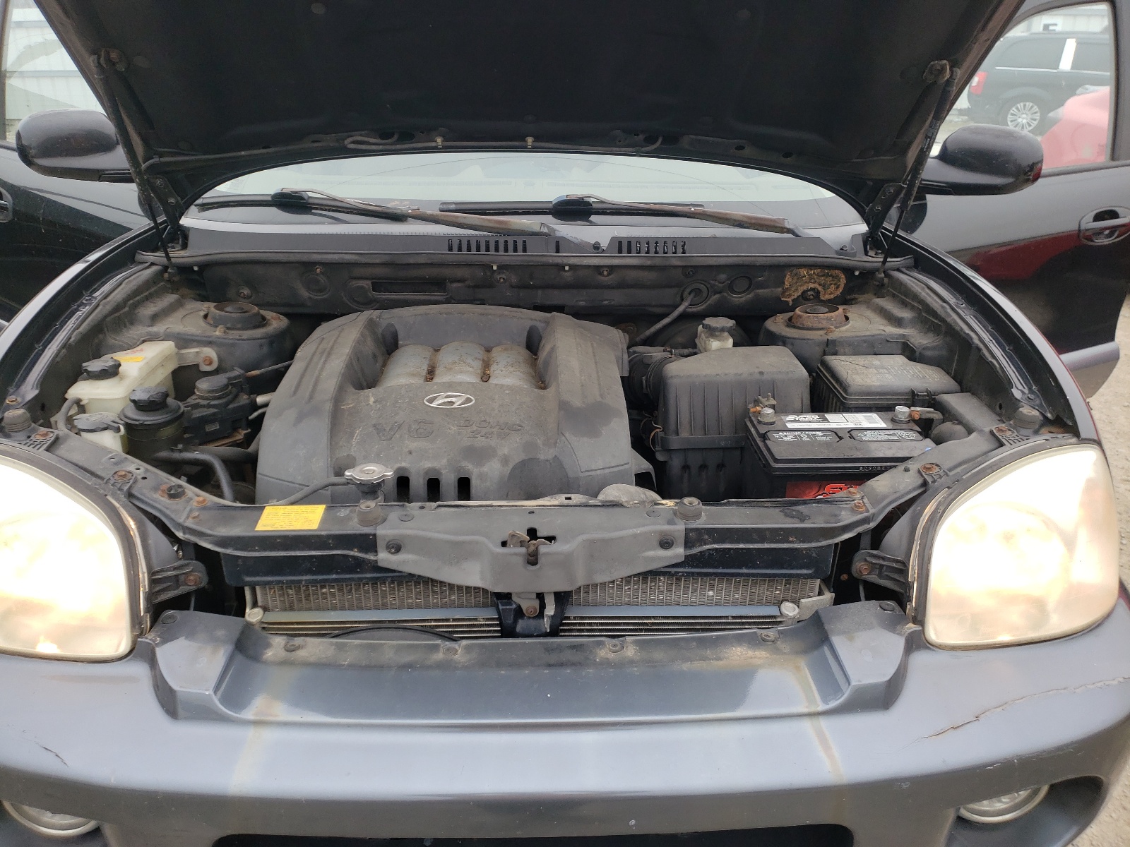 KM8SC13D44U783385 2004 Hyundai Santa Fe Gls