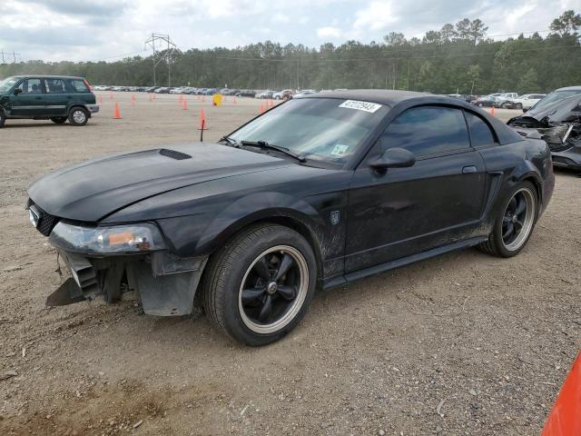 2000 Ford Mustang 