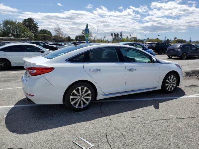 2016 HYUNDAI SONATA SPO - 5NPE34AF7GH266605